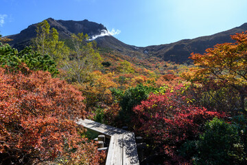 姥ヶ平から見た茶臼岳と木道