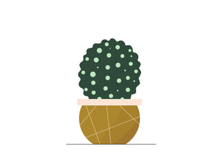 Cute flat vector cactus in brown linear flowerpot illustration. Modern cartoon mini cacti plant in trendy pot icon for logo, print, web decoration design. Cozy home flower vector graphic element.
