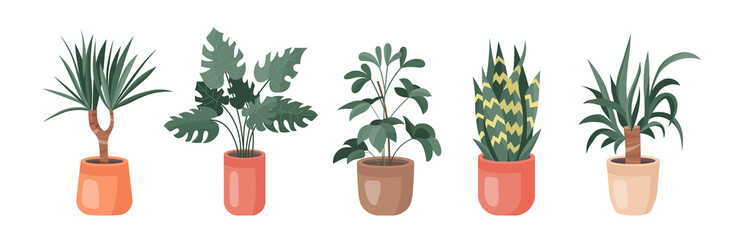 Trendy collection of home cute plants and succulents in flowerpots pack icons. Set of houseplants and succulents in pots modern illustrations. Cozy vector decoration elements in flat swiss style.