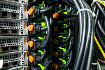network cables connected to a router