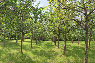 Grünes Labor Coburg