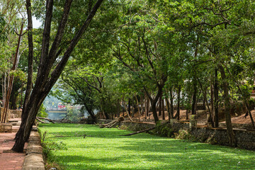 インド　ケララ州のアラップーザの市街地を流れるヴァーダ運河と街並み