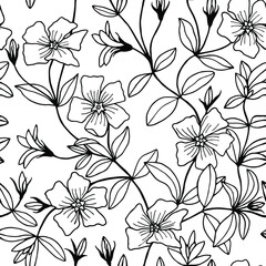 Fototapeta premium Periwinkle flowers seamless pattern. Vector stock illustration eps10. Isolate on white background, outline, hand drawing.