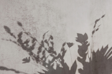 Shadow of tree leaves on the grunge concrete wall background, beautiful gray texture.
