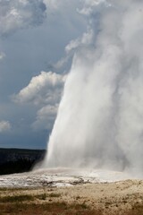 Old Faithful Yellow Stone