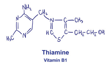 Thiamine chemical structure. Vector illustration Hand drawn.