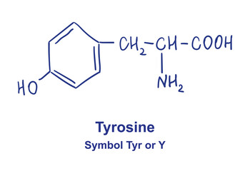 Tyrosine chemical structure. Vector illustration Hand drawn
