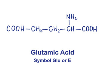 Glutamin asid chemical structure. Vector illustration Hand drawn