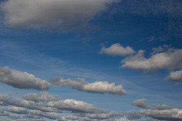 Obraz premium Light white clouds fly across a bright blue sky. Clear sky at sunny summer afternoon. Spring cloudscape background. Copy space