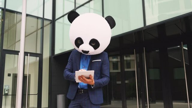 Storytelling video of a businessman wearing a giant panda mask. 