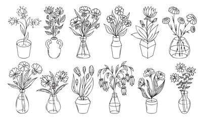 Flowers outline illustration with vase and pot isolated on white background. Floral set, house plant line art illustration, flower drawing linear collection. © Gexam