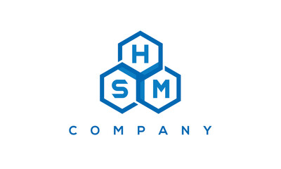 HSM three letters creative polygon hexagon logo	