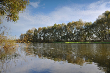 Autumn landscape on the river. Nature, beauty, wallpaper, graphics, river, leaf fall 