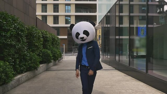 Storytelling video of a businessman wearing a giant panda mask. 