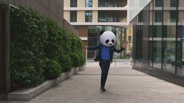 Storytelling video of a businessman wearing a giant panda mask. 