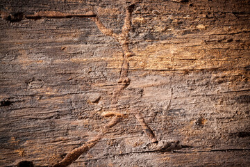 Texture old wood background.