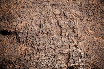 Texture old wood background.