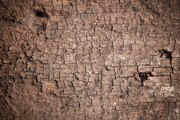Texture old wood background.