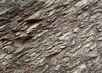 the surface of the cliff