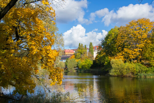 Autumn on the Lower Lake of Kaliningrad