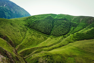 Green hills, mountain tops are covered with a thick cloud before the rain. Travel in the mountains of Georgia.