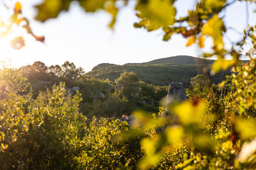 Paysage de la Mer de Rochers au lever du soleil, dans le piémont cévenol à Sauve (Occitanie, France)