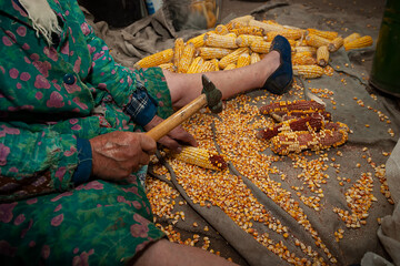 A rural farm, in the attic of a barn, a grandmother uses a hammer to peel corn cobs.