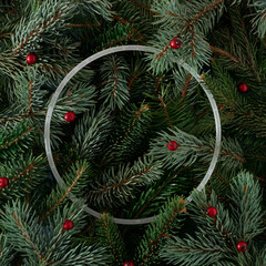Creative layout made of Christmas tree branches with red berries and white round frame. New Year nature concept with copy space.