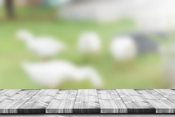 Grey wood table on blur goose farm background