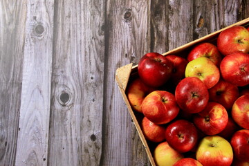 Red apples in a wooden box on a  wooden board background. Copy space 
