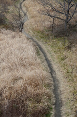 Obraz premium 河川敷の道