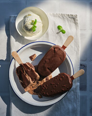 Different types of chocolate and vanilla ice cream on a stick in a plate.