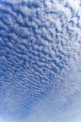 秋の雲　うろこ雲（1０月）