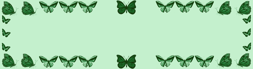 Zielone tło z motylami © Hanna