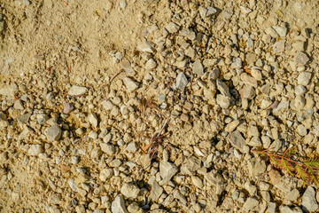 Soil in the garden