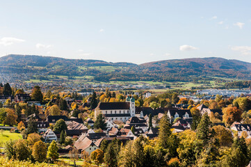 Arlesheim, Dom, Weinberg, Birstal, Birsebene, Dorf, Herbst, Herbstlaub, Ermitage, Baselland,...