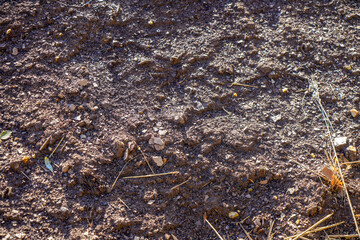 Soil from the quarry 