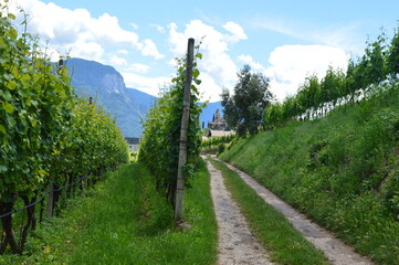 A path and the village Tramin in Southtyrol mountains behind 