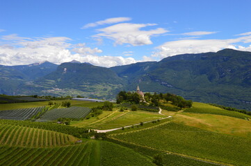 Vineyards and the village Graun in Southtyrol mountains behind 