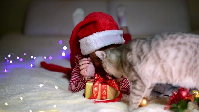 Children's Christmas. A little smiling girl in Santa's red hat and red christmas clothing lies on the bed with a british cat and a gift. Preparation for the celebration. New Year. Atmosphere. Home.
