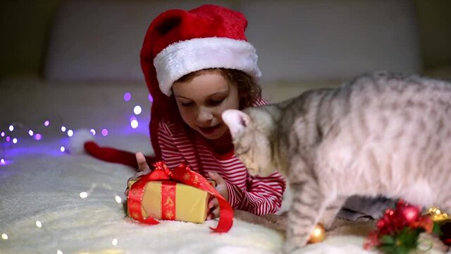 Children's Christmas. A little smiling girl in Santa's red hat and red christmas clothing lies on the bed with a british cat and a gift. Preparation for the celebration. New Year. Atmosphere. Home.
