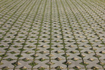 Fototapeta premium paving slabs with holes for grass