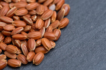 Ancient rice, brown Red rice (close up)