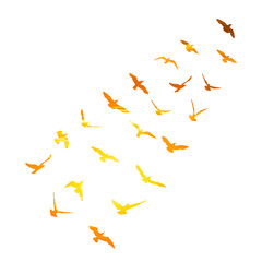 Watercolour silhouette of flying birds seagulls on white background. Inspirational body flash tattoo ink of sea birds. Vector.