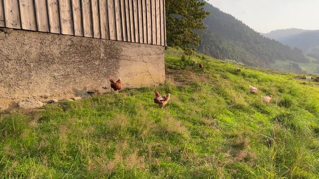 Altman in der Schweiz 