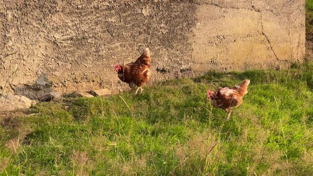 Altman in der Schweiz 