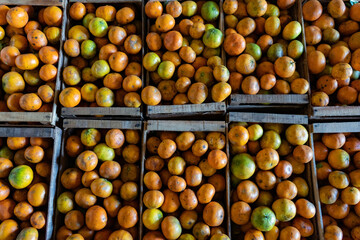Detail shot of oranges in wooden crates going to market