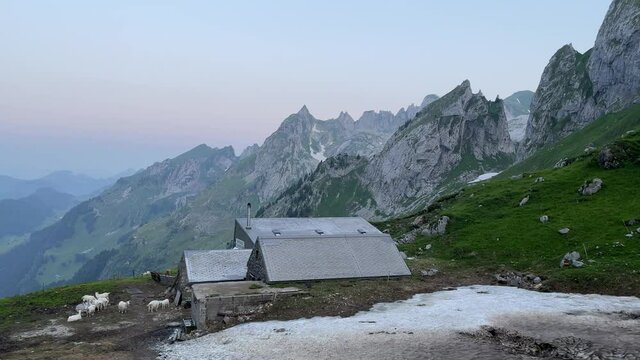 Altman in der Schweiz 