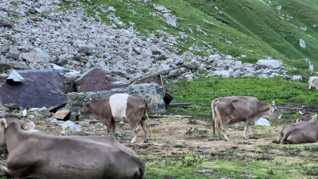 Altman in der Schweiz 
