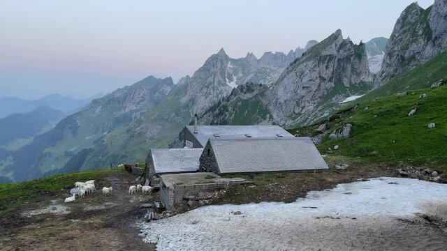 Altman in der Schweiz 